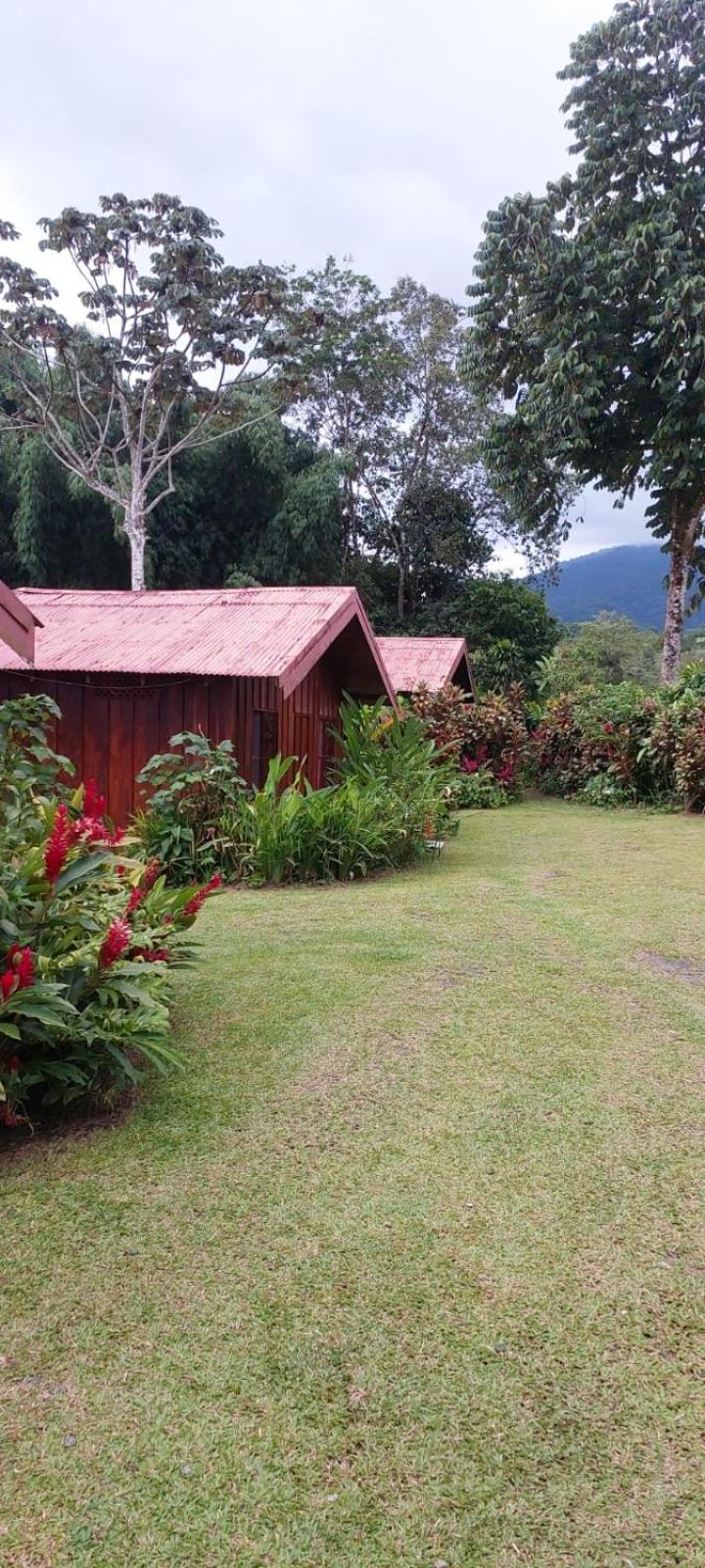 Cabinas La Catarata La Fortuna Buitenkant foto