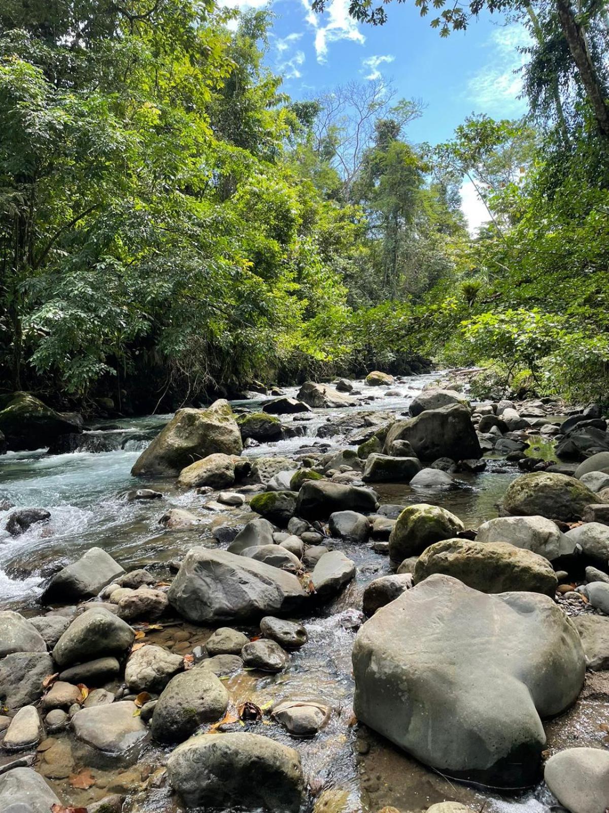 Cabinas La Catarata La Fortuna Buitenkant foto