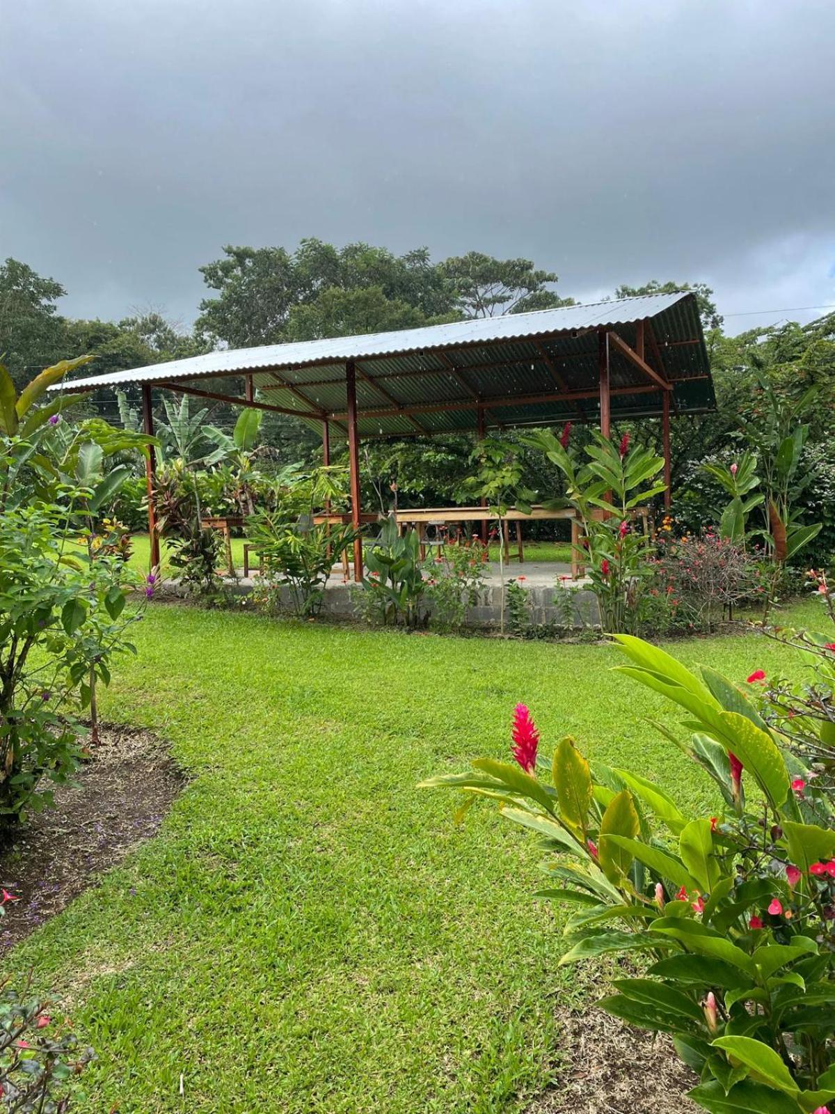 Cabinas La Catarata La Fortuna Buitenkant foto